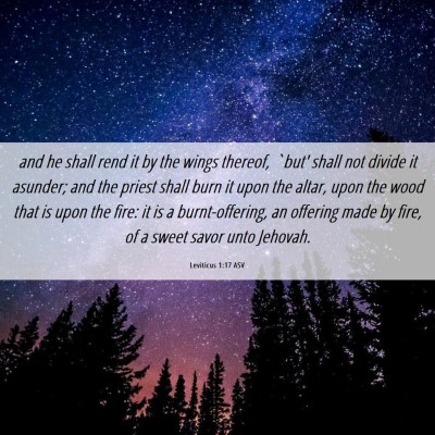 Picture 06 - Leviticus 1:17 ASV - and he shall rend it by the wings thereof, `but' - Bible Verse Picture
