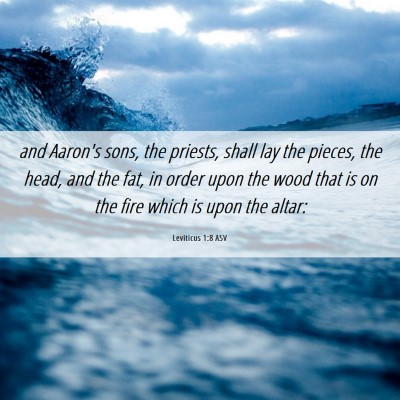 Picture 06 - Leviticus 1:8 ASV - and Aaron's sons, the priests, shall lay the - Bible Verse Picture