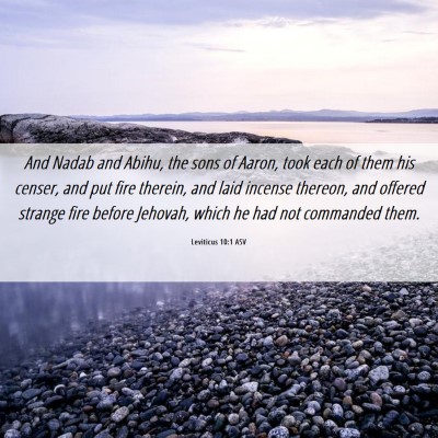 Picture 06 - Leviticus 10:1 ASV - And Nadab and Abihu, the sons of Aaron, took each - Bible Verse Picture