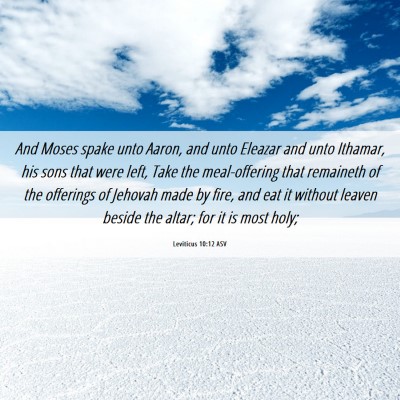 Picture 06 - Leviticus 10:12 ASV - And Moses spake unto Aaron, and unto Eleazar and - Bible Verse Picture