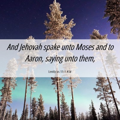 Picture 06 - Leviticus 11:1 ASV - And Jehovah spake unto Moses and to Aaron, saying - Bible Verse Picture