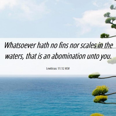 Picture 06 - Leviticus 11:12 ASV - Whatsoever hath no fins nor scales in the waters, - Bible Verse Picture