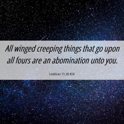 Picture 06 - Leviticus 11:20 ASV - All winged creeping things that go upon all fours - Bible Verse Picture