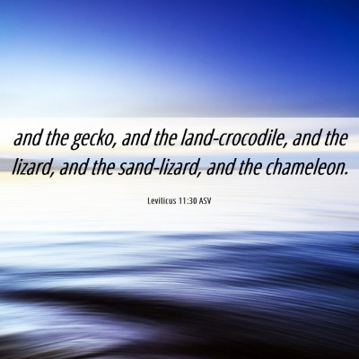 Picture 06 - Leviticus 11:30 ASV - and the gecko, and the land-crocodile, and the - Bible Verse Picture