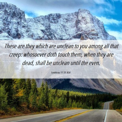 Picture 06 - Leviticus 11:31 ASV - These are they which are unclean to you among all - Bible Verse Picture