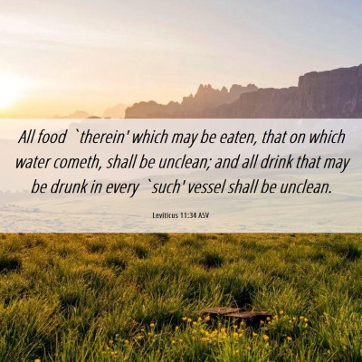 Picture 06 - Leviticus 11:34 ASV - All food `therein' which may be eaten, that on - Bible Verse Picture