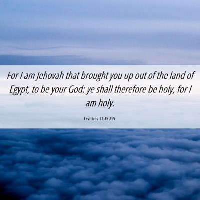 Picture 06 - Leviticus 11:45 ASV - For I am Jehovah that brought you up out of the - Bible Verse Picture