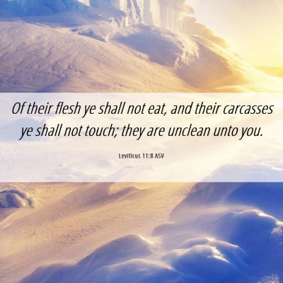 Picture 06 - Leviticus 11:8 ASV - Of their flesh ye shall not eat, and their - Bible Verse Picture