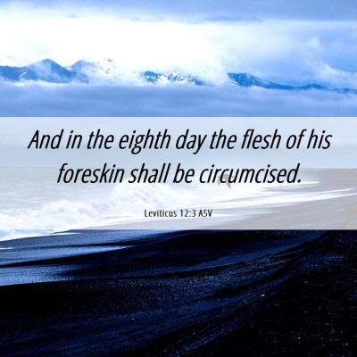 Picture 06 - Leviticus 12:3 ASV - And in the eighth day the flesh of his foreskin - Bible Verse Picture