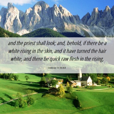 Picture 06 - Leviticus 13:10 ASV - and the priest shall look; and, behold, if there - Bible Verse Picture