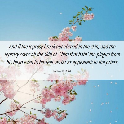 Picture 06 - Leviticus 13:12 ASV - And if the leprosy break out abroad in the skin, - Bible Verse Picture