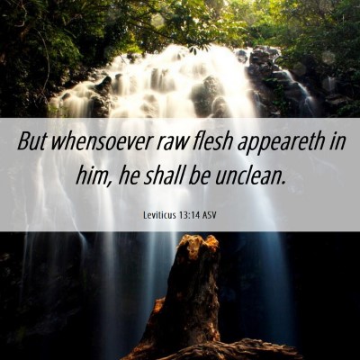 Picture 06 - Leviticus 13:14 ASV - But whensoever raw flesh appeareth in him, he - Bible Verse Picture