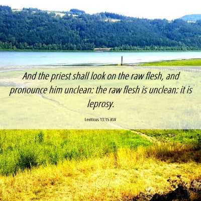 Picture 06 - Leviticus 13:15 ASV - And the priest shall look on the raw flesh, and - Bible Verse Picture