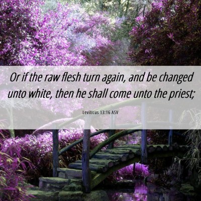 Picture 06 - Leviticus 13:16 ASV - Or if the raw flesh turn again, and be changed - Bible Verse Picture