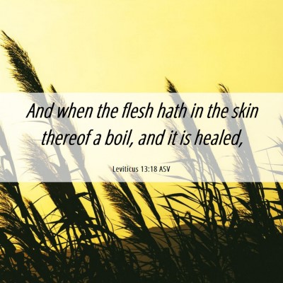 Picture 06 - Leviticus 13:18 ASV - And when the flesh hath in the skin thereof a - Bible Verse Picture