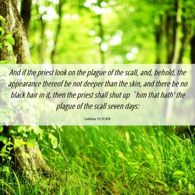 Picture 06 - Leviticus 13:31 ASV - And if the priest look on the plague of the - Bible Verse Picture