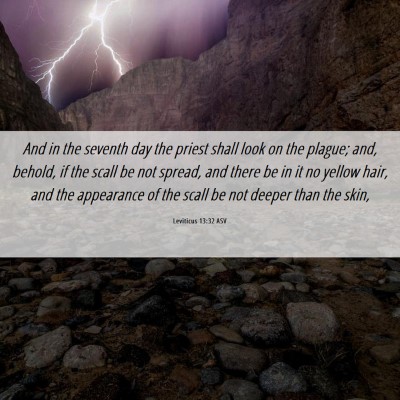 Picture 06 - Leviticus 13:32 ASV - And in the seventh day the priest shall look on - Bible Verse Picture