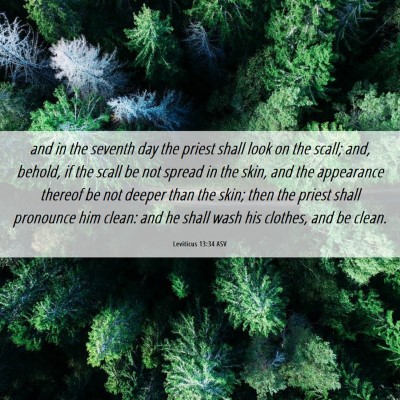 Picture 06 - Leviticus 13:34 ASV - and in the seventh day the priest shall look on - Bible Verse Picture