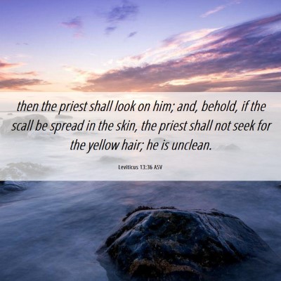 Picture 06 - Leviticus 13:36 ASV - then the priest shall look on him; and, behold, - Bible Verse Picture