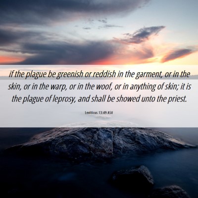 Picture 06 - Leviticus 13:49 ASV - if the plague be greenish or reddish in the - Bible Verse Picture