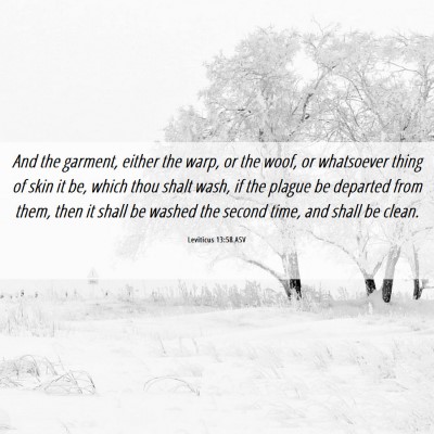Picture 06 - Leviticus 13:58 ASV - And the garment, either the warp, or the woof, or - Bible Verse Picture