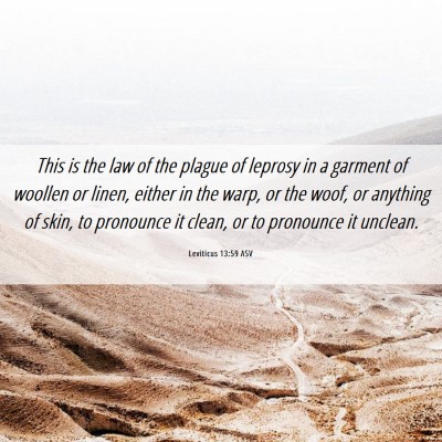 Picture 06 - Leviticus 13:59 ASV - This is the law of the plague of leprosy in a - Bible Verse Picture