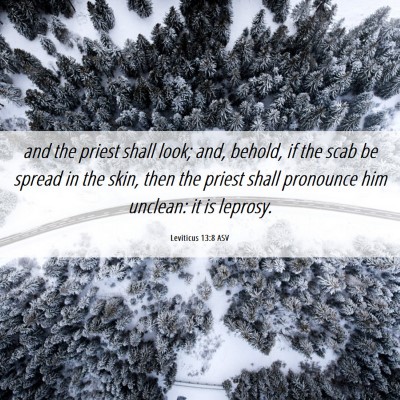 Picture 06 - Leviticus 13:8 ASV - and the priest shall look; and, behold, if the - Bible Verse Picture