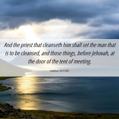 Picture 06 - Leviticus 14:11 ASV - And the priest that cleanseth him shall set the - Bible Verse Picture