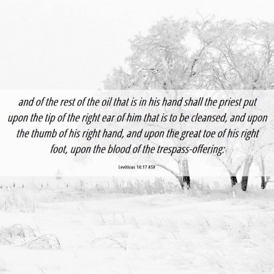 Picture 06 - Leviticus 14:17 ASV - and of the rest of the oil that is in his hand - Bible Verse Picture