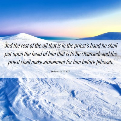 Picture 06 - Leviticus 14:18 ASV - and the rest of the oil that is in the priest's - Bible Verse Picture