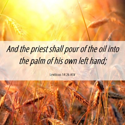Picture 06 - Leviticus 14:26 ASV - And the priest shall pour of the oil into the - Bible Verse Picture