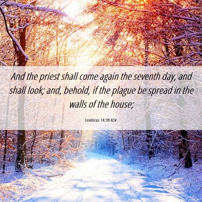 Picture 06 - Leviticus 14:39 ASV - And the priest shall come again the seventh day, - Bible Verse Picture