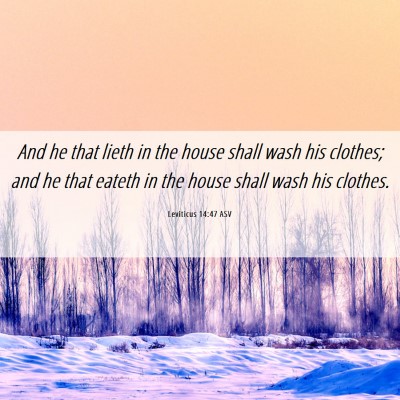 Picture 06 - Leviticus 14:47 ASV - And he that lieth in the house shall wash his - Bible Verse Picture