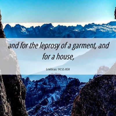 Picture 06 - Leviticus 14:55 ASV - and for the leprosy of a garment, and for a - Bible Verse Picture