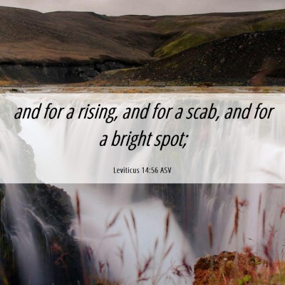 Picture 06 - Leviticus 14:56 ASV - and for a rising, and for a scab, and for a - Bible Verse Picture