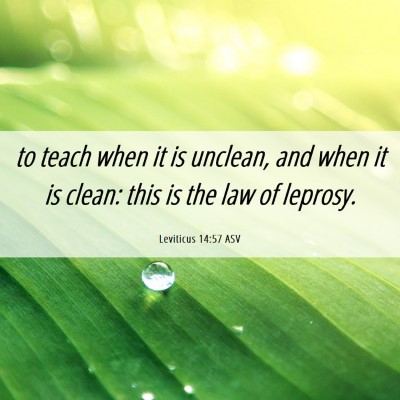 Picture 06 - Leviticus 14:57 ASV - to teach when it is unclean, and when it is - Bible Verse Picture