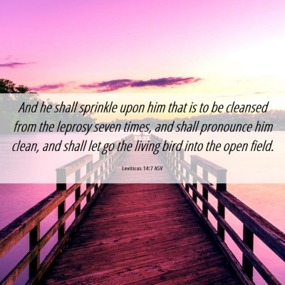 Picture 06 - Leviticus 14:7 ASV - And he shall sprinkle upon him that is to be - Bible Verse Picture
