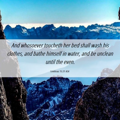 Picture 06 - Leviticus 15:21 ASV - And whosoever toucheth her bed shall wash his - Bible Verse Picture
