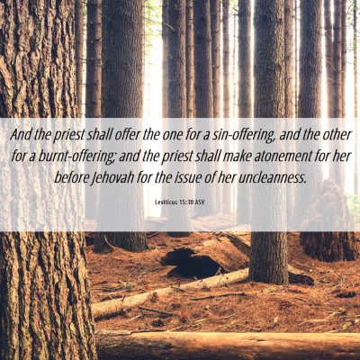 Picture 06 - Leviticus 15:30 ASV - And the priest shall offer the one for a - Bible Verse Picture