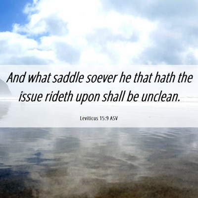 Picture 06 - Leviticus 15:9 ASV - And what saddle soever he that hath the issue - Bible Verse Picture
