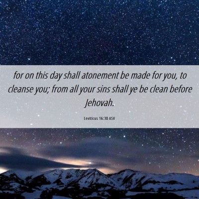 Picture 06 - Leviticus 16:30 ASV - for on this day shall atonement be made for you, - Bible Verse Picture