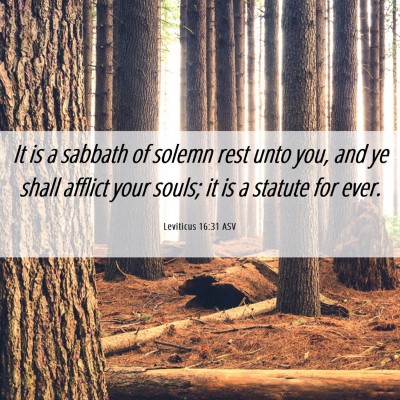 Picture 06 - Leviticus 16:31 ASV - It is a sabbath of solemn rest unto you, and ye - Bible Verse Picture