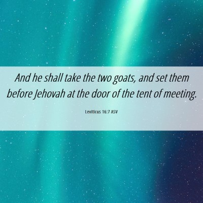 Picture 06 - Leviticus 16:7 ASV - And he shall take the two goats, and set them - Bible Verse Picture