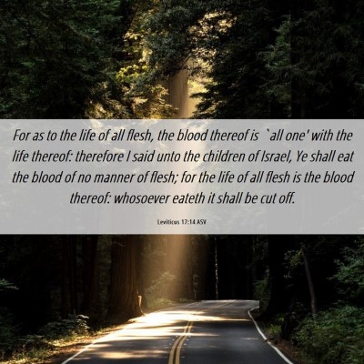 Picture 06 - Leviticus 17:14 ASV - For as to the life of all flesh, the blood - Bible Verse Picture