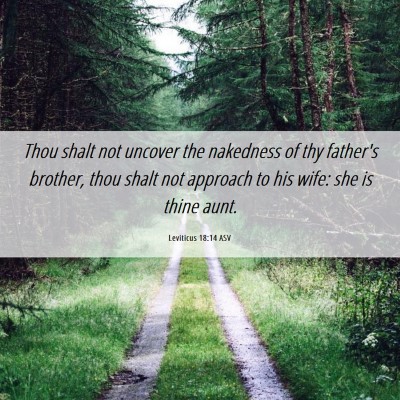 Picture 06 - Leviticus 18:14 ASV - Thou shalt not uncover the nakedness of thy - Bible Verse Picture