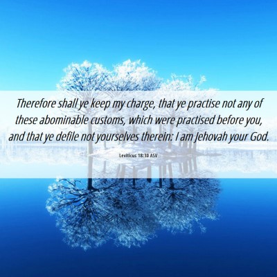Picture 06 - Leviticus 18:30 ASV - Therefore shall ye keep my charge, that ye - Bible Verse Picture