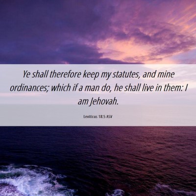 Picture 06 - Leviticus 18:5 ASV - Ye shall therefore keep my statutes, and mine - Bible Verse Picture