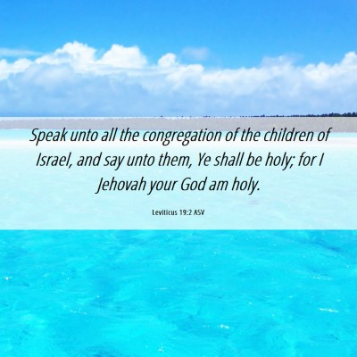 Picture 06 - Leviticus 19:2 ASV - Speak unto all the congregation of the children - Bible Verse Picture