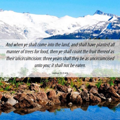 Picture 06 - Leviticus 19:23 ASV - And when ye shall come into the land, and shall - Bible Verse Picture