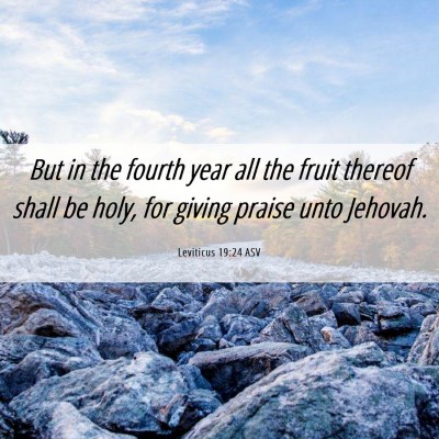 Picture 06 - Leviticus 19:24 ASV - But in the fourth year all the fruit thereof - Bible Verse Picture